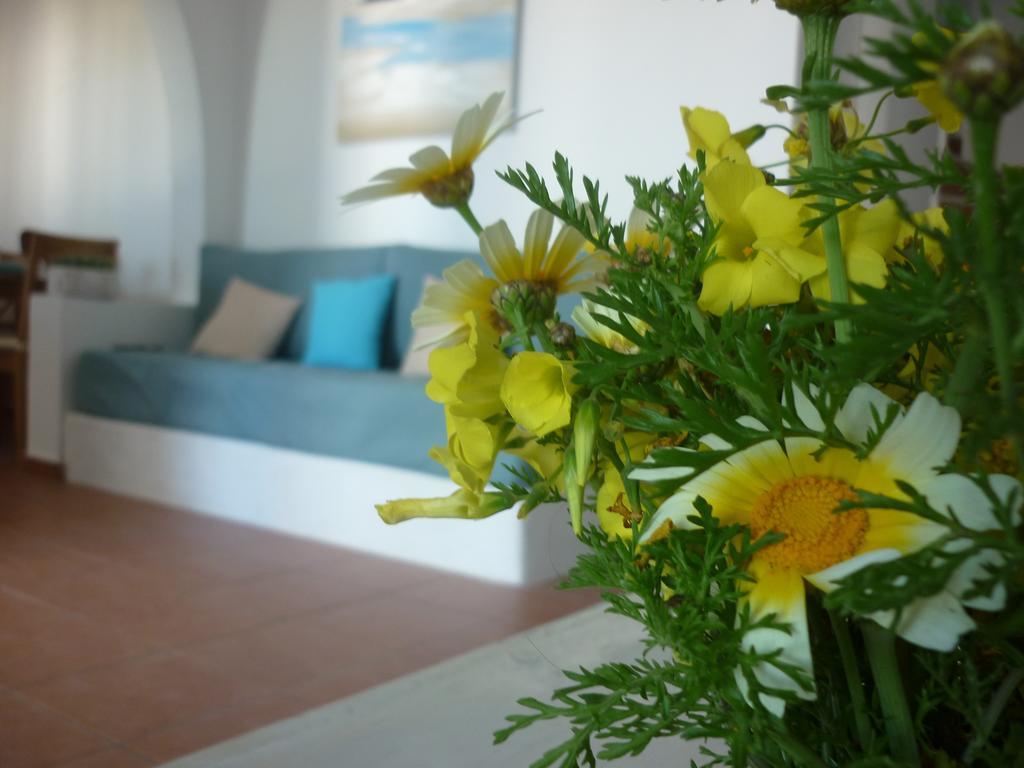 Villa Aelia Santorini Vothon Room photo